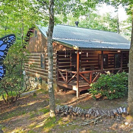 Laurel Creek- Blue Ridge Villa Dış mekan fotoğraf