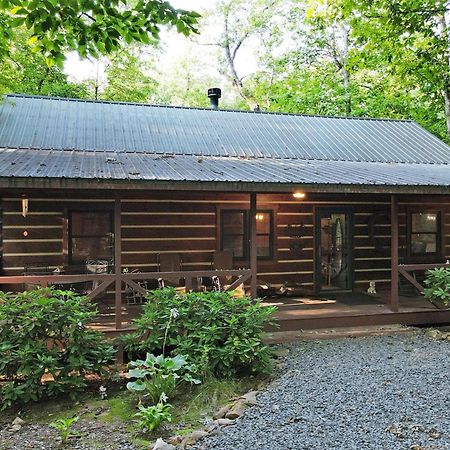 Laurel Creek- Blue Ridge Villa Dış mekan fotoğraf