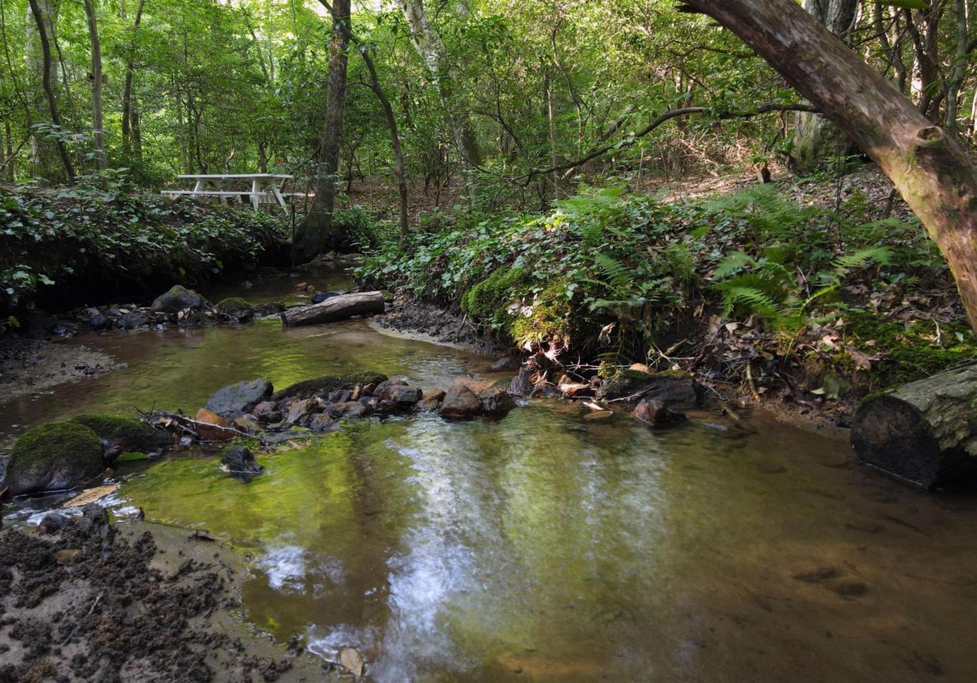 Laurel Creek- Blue Ridge Villa Dış mekan fotoğraf