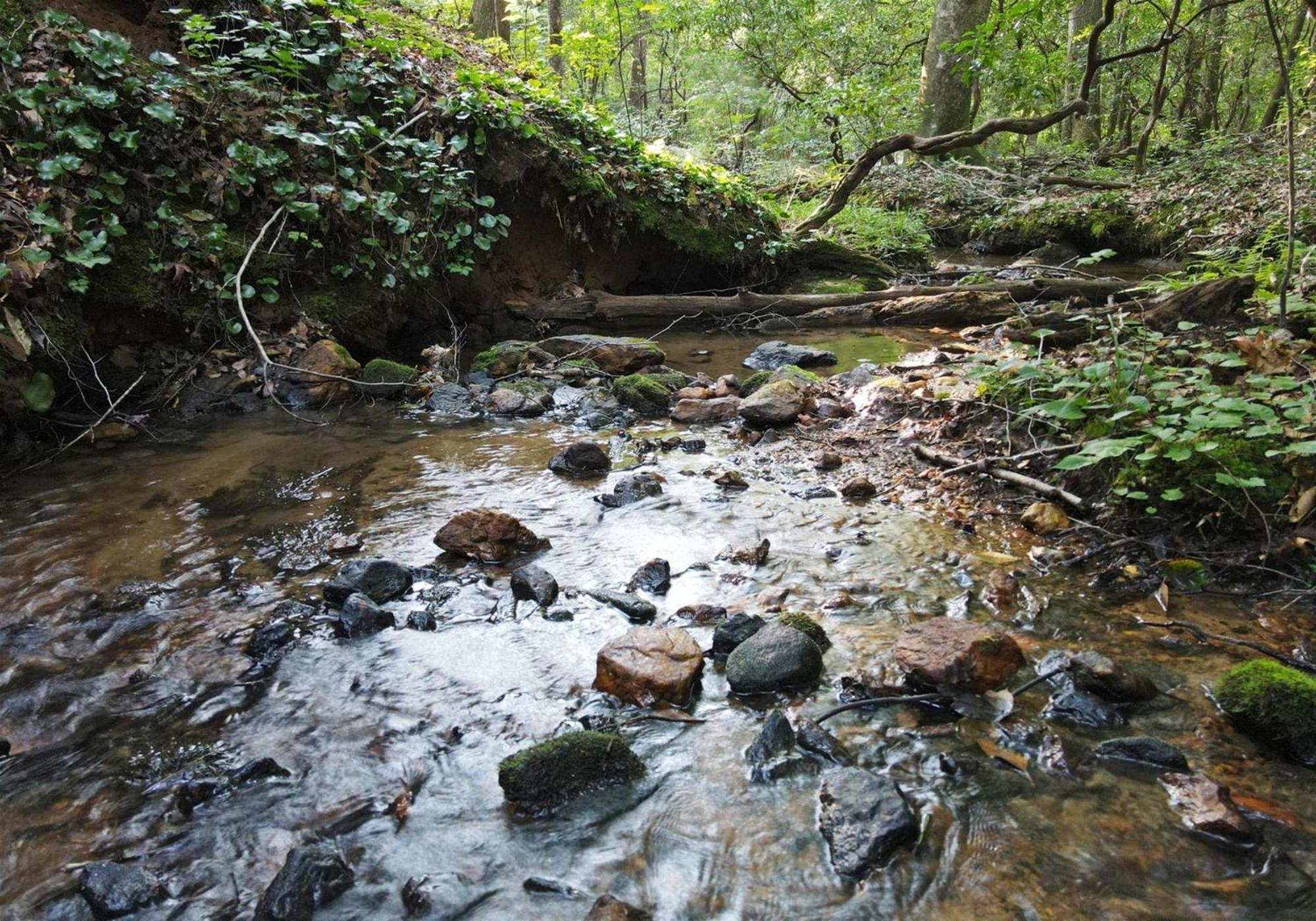 Laurel Creek- Blue Ridge Villa Dış mekan fotoğraf